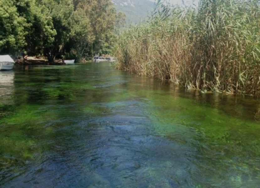Esentepe Akyaka Apart