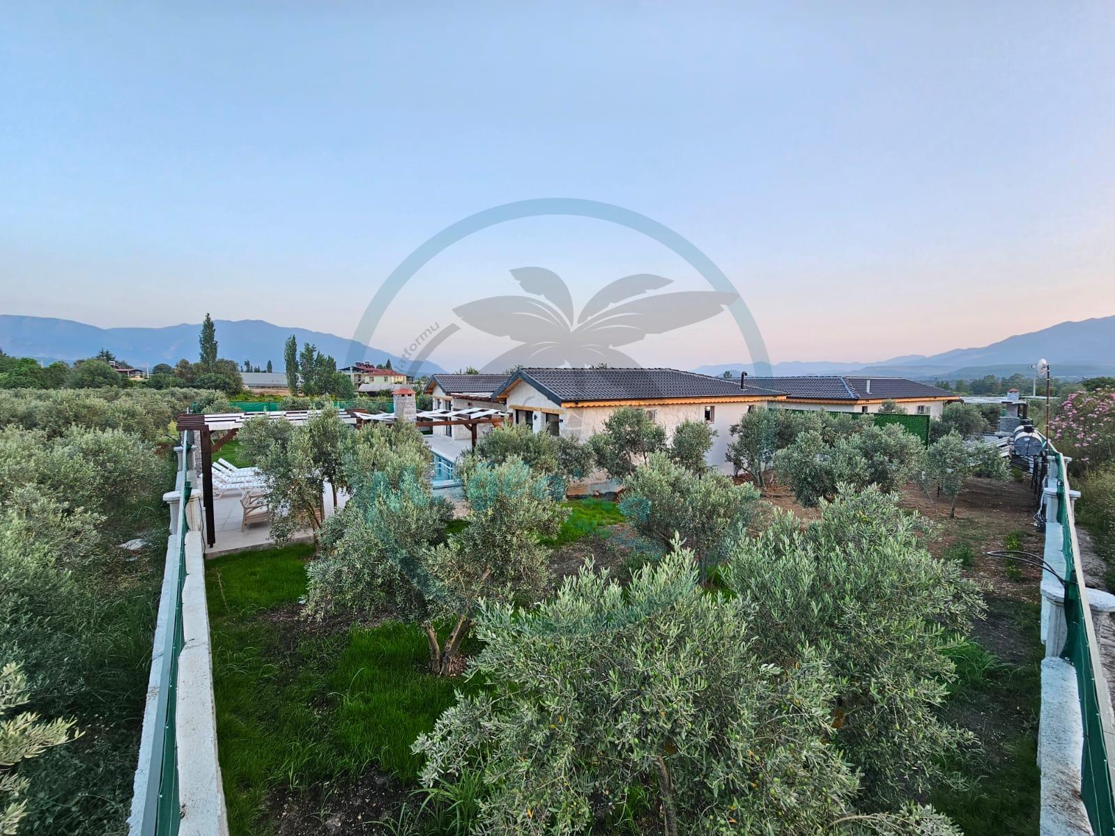 Villa Olive Nera