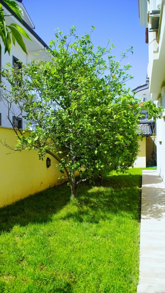 Çağrı Villaları 1