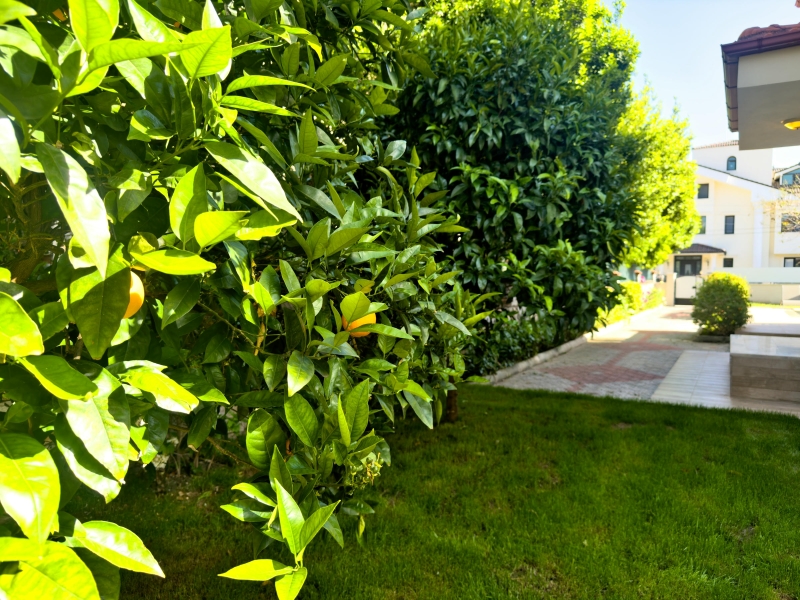 Çağrı Villaları 1